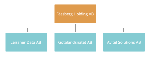 Bolagsstruktur